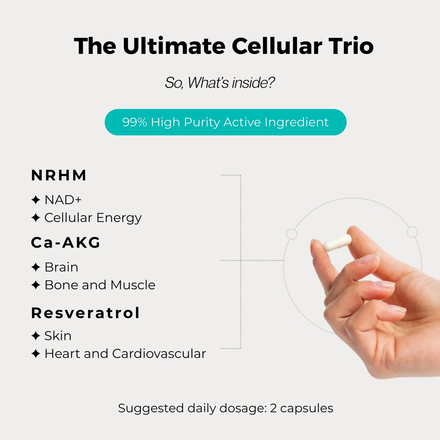 NatureRenew® NAD+ Booster